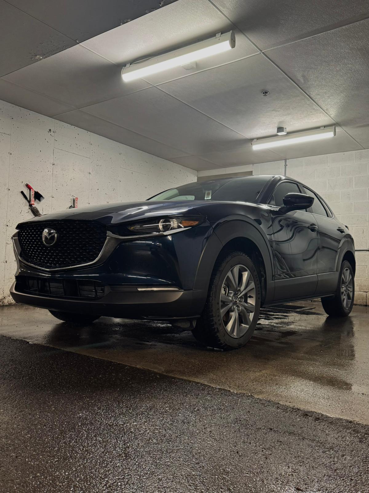Premium Exterior Detailing